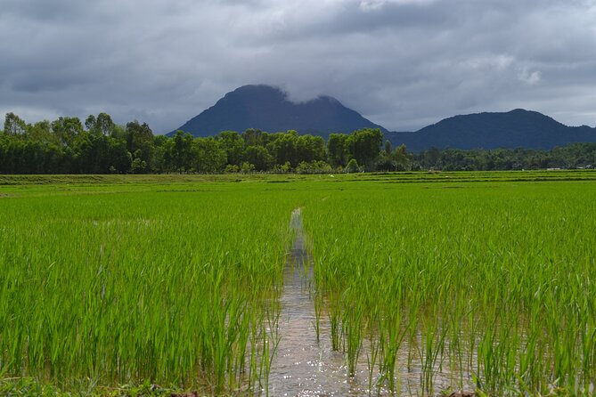 Adventure Bike Tour from Hoi An - My Son Sanctuary Time, Plus the Optional Temple Add-On