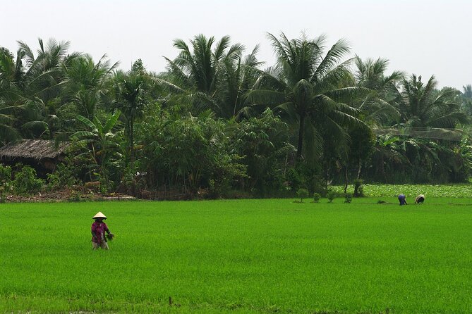 Adventure Cu Chi Tunnels and Mekong Delta Tour From HCM - My Tho on the Mekong: boats, islands, and everyday river life
