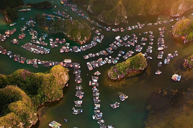 Amazing day - Boat trip discover real Ha Long Bay and Lan Ha Bay - Cai Beo floating fishing village: what to watch for on the water