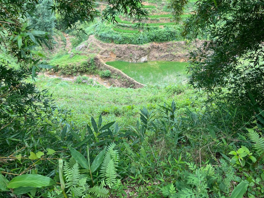 AUTHENIC 2D1N Trek & Bungalow Retreat with Dinh Hmong Family - Final call: should you book Dinh’s 2D1N trek
