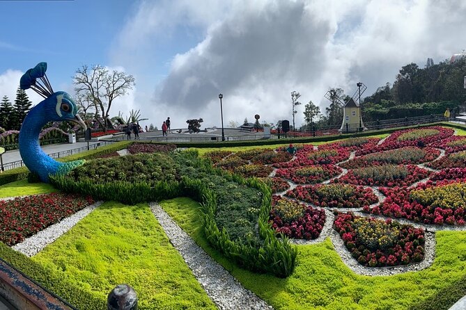 Ba Na Hills & Golden Bridge Tour from Da Nang - Price and value: why it can feel cheap, then not