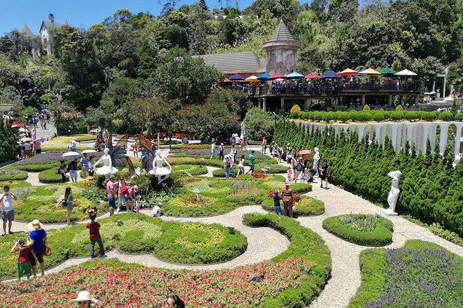 Ba Na Hills - Golden Hand Bridge Full Day Tour - Transfers and the English-speaking guide: where the value really lives