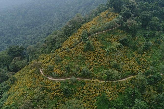Ba Vi National Park Private Tour: Sightseeings & Jungle Hikking - Ba Vi in a single day, forest to French ruins