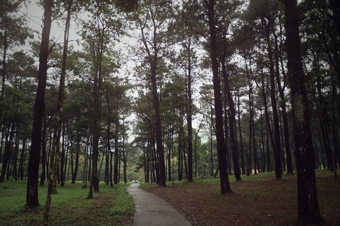Ba Vi National Park Private Tour: Sightseeings & Jungle Hikking - Bavi Church Ruins: the French church lost in pine forest