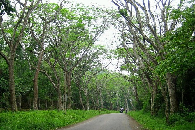Ba Vi National Park Private Tour: Sightseeings & Jungle Hikking - The French prison ruins and the mossy walls you can read