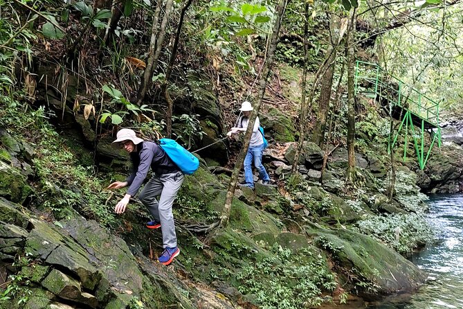 Bach Ma National Park trekking daily tour from Da Nang, Hoi An - Do Quyen Waterfall: The 300 m Payoff