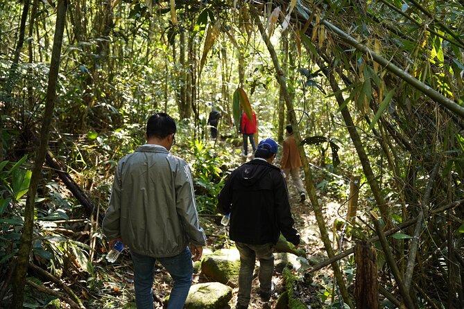 Bach Ma National Park trekking daily tour from Da Nang, Hoi An - Price and Value: What $69 Buys You (and Why It May Be Worth It)