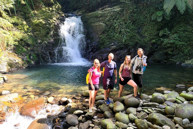 Bach Ma National Park trekking deluxe daily tour from Hue - Pickup, transfer up the mountain, and the small-group rhythm