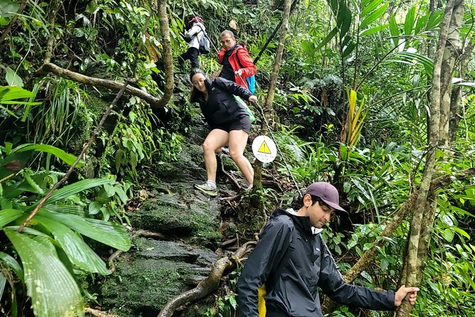 Bach Ma National Park trekking deluxe daily tour from Hue - Comfort and packing tips for this specific Bach Ma day trek