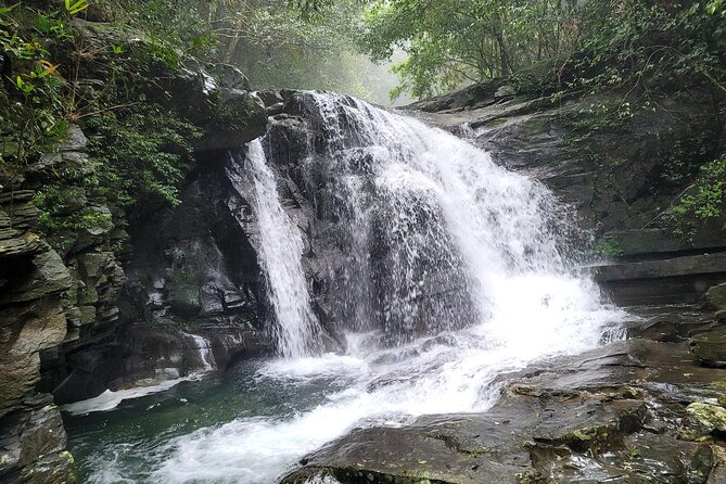 Bach Ma National Park trekking deluxe daily tour from Hue - Price and value: what you really get for $49 per person