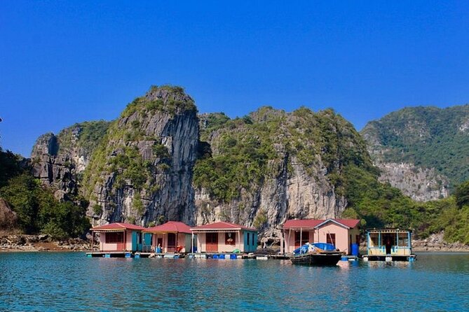 Bai Tu Long Bay 2 Day 1 Night Cruise - Day 1 on board: swimming breaks, night fishing, and your cabin comfort