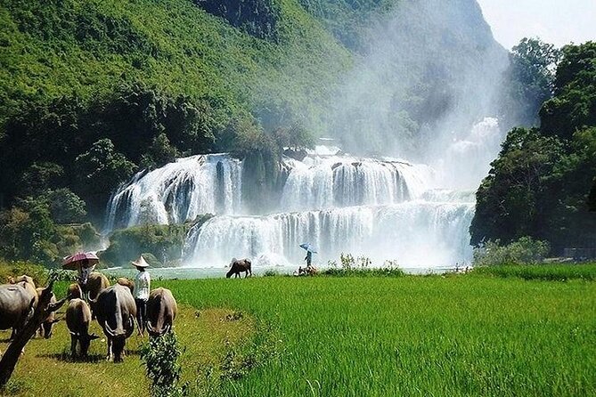 Ban Gioc Waterfall 2 Days 1 Night From Hanoi - Potential hiccups: driving time, waterfall flow, and organization consistency