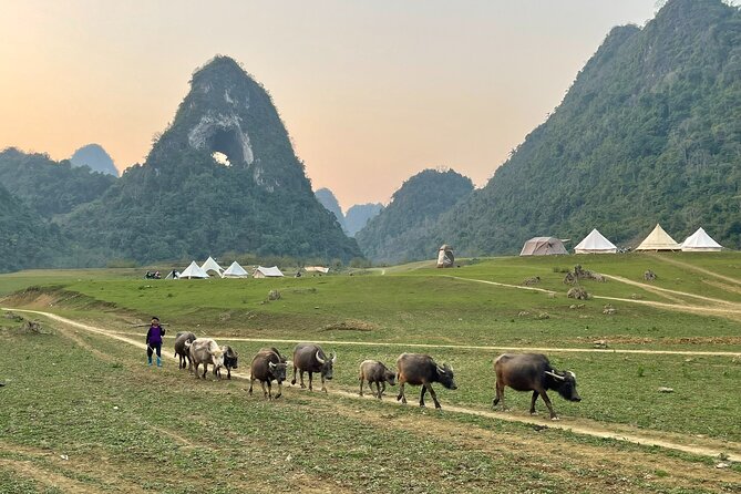 Ban Gioc Waterfall & Mt Angel Eye Full Day Trip with Easy Rider - After the Waterfall: Lunch and a Smooth Transition to the Caves