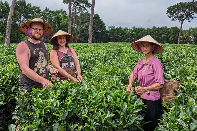 Bavi Eco Tour: Immerse in Authentic Village Life Outside Hanoi - Morning in Ri village: tea stories with Duoc