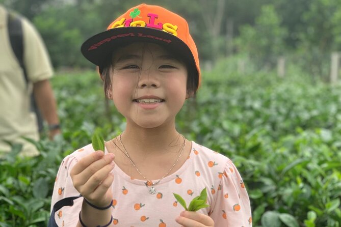 Bavi Eco Tour: Immerse in Authentic Village Life Outside Hanoi - Village strolling, tofu and conical hats, and how crafts work