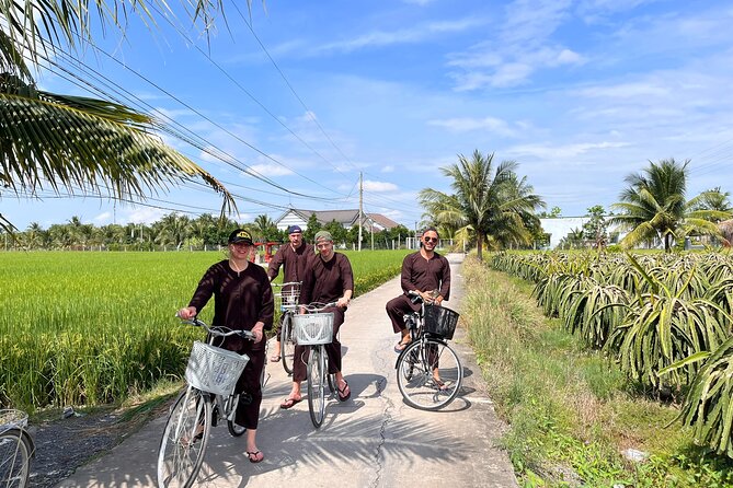 Ben Tre - Coconut Land Private One Day Guide Mekong Delta Tour Excursion - Getting there from Ho Chi Minh City, and what that means for your day