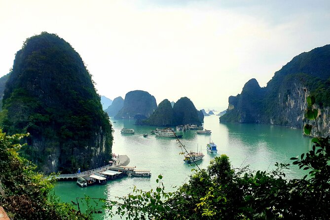 Best seller Halong bay 6 hours cruise - Hang Luon Cave: kayak or sampan, and that monkey possibility