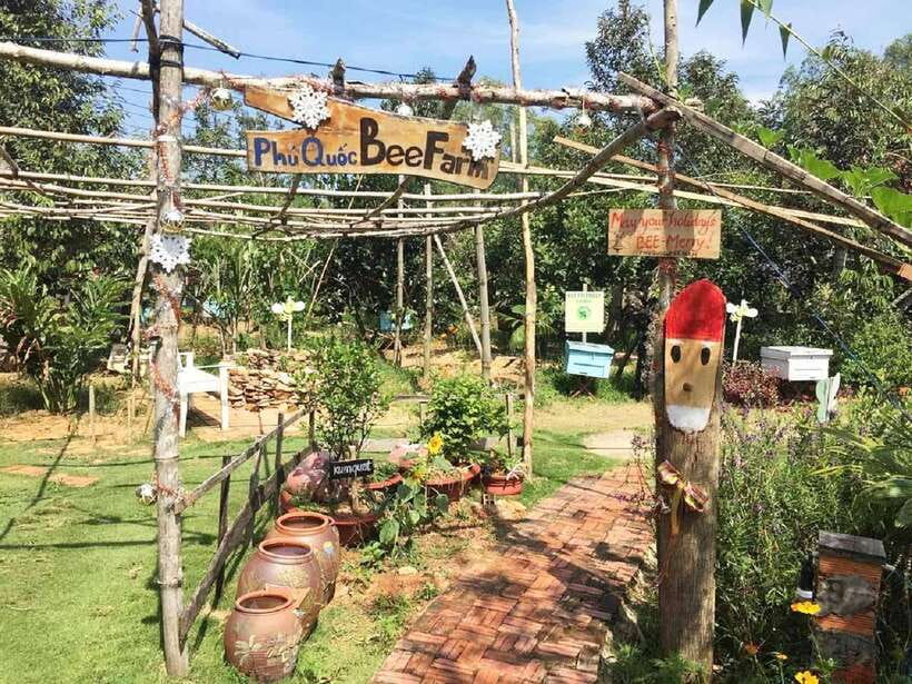 Best Seller Northern Phu Quoc & Kayak Aventure with lunch - Key highlights worth planning around