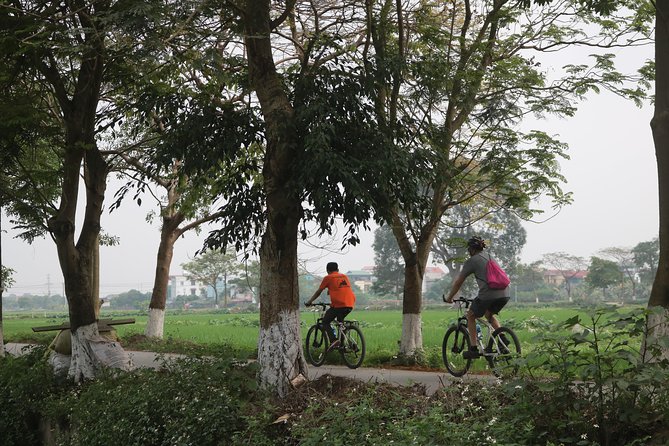 Bicycle Tour Full Day Explore Red River Delta & Rural Villages - Price and value: what $98 buys you