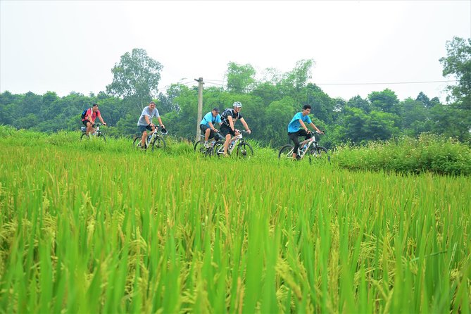 Bicycle Tours Hanoi: Full Day Bicycle Tour Hanoi Countryside - Lại Đà, Bonsai Makers, and the Village Craft Factor