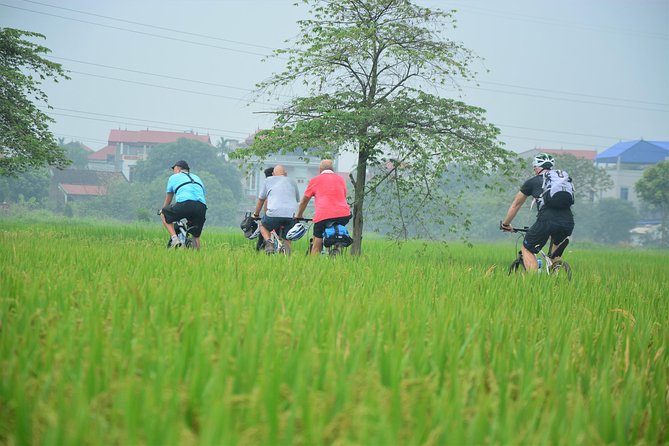 Bicycle Tours Hanoi: Full Day Bicycle Tour Hanoi Countryside - Returning by Red River Cruise Instead of Another Long Ride