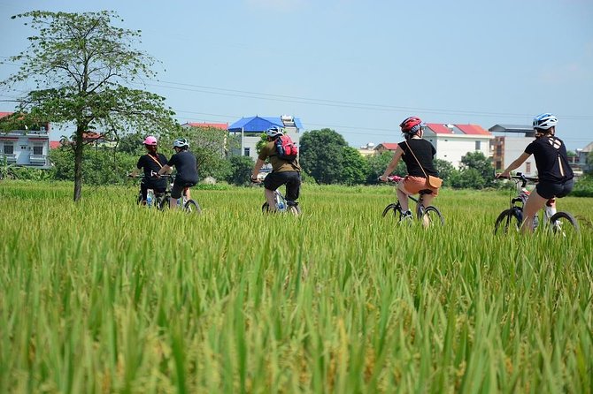 Bicycle Tours Hanoi: Full Day Bicycle Tours City & Countryside - Getting rolling: bike choice, helmets, and a real safety start