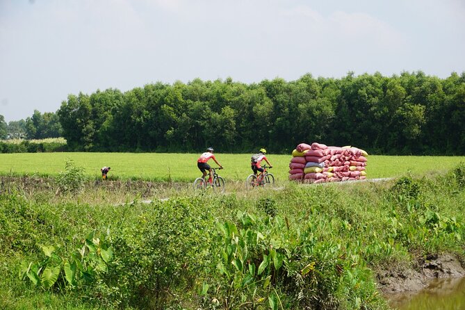 Bike And Boat Mekong Delta Cycling Tour - Leaving Ho Chi Minh City for the Mekong, Without the Hassle