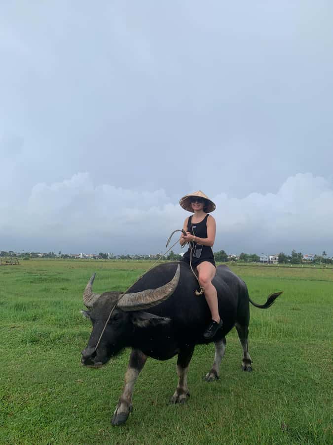 BUFFALO RIDING -BASKET BOAT & BIKE TOUR-HOI AN - Paddle the Bamboo Basket Boats in Coconut Jungle Waterways