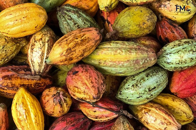 Cai Rang floating market, Cacao & hidden small canal - Boat breakfast and fruit: what’s included, and how to fuel a long morning