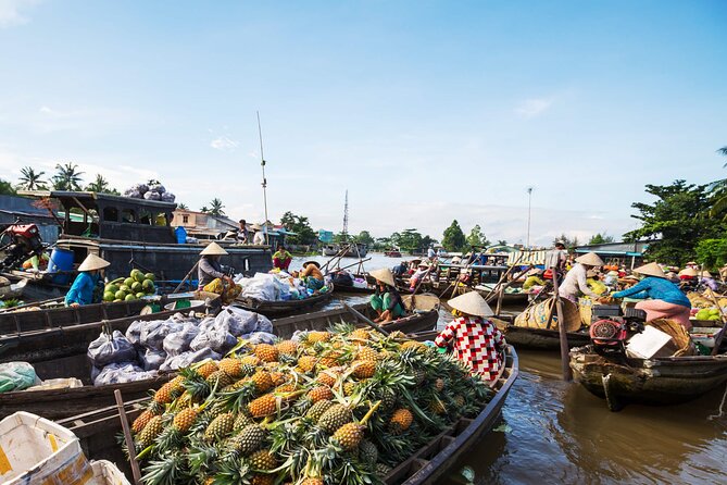 Cai Rang Floating Market & Mekong Delta 2-Day Tour from HCM City - Key highlights worth planning for