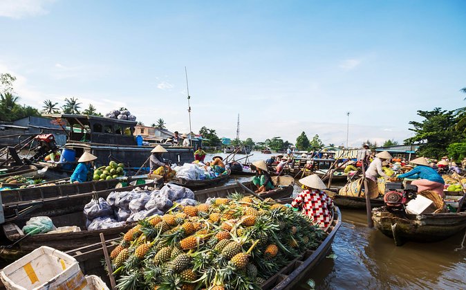 Cai Rang Floating Market & Mekong Delta Private 1-Day Tour - Your 5:00 AM start, and why it actually matters