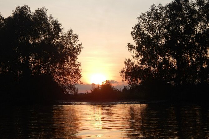 Cai Rang floating market, see sunrise, CaCao orchard, small canal - Price and value for $42, what you are buying