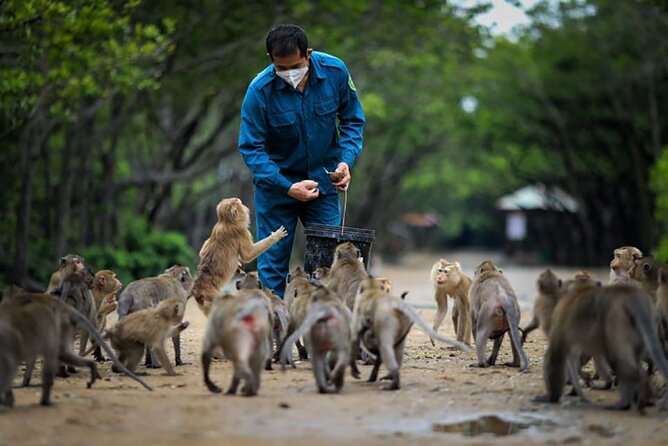 Cần Giờ Eco-Tour with Monkeys, Crocs & War History - Morning pickup and the early run to Cần Giờ