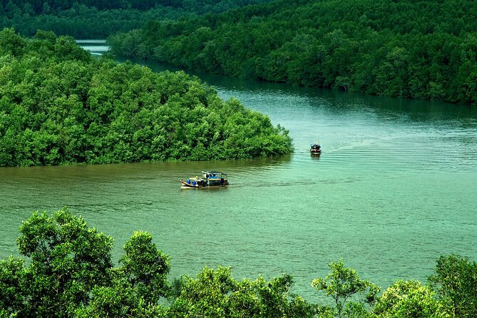 Can Gio Mangrove Forest 1 day tour - Why Can Gio Mangroves work as a one-day escape from Ho Chi Minh City