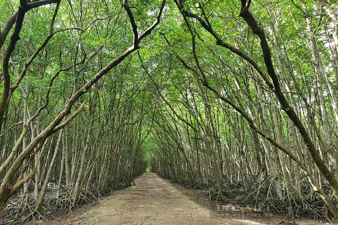 Can Gio Mangrove Forest 1 day tour - Guides and group size: why service quality matters more than you think