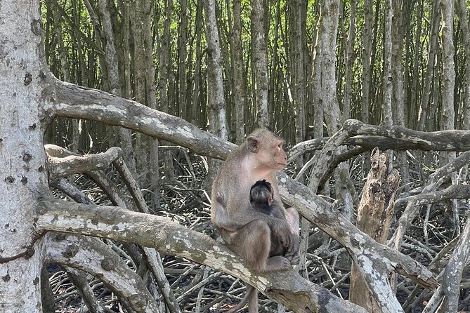 Can Gio Mangroves - Monkey Island by Motorbike and Scooter - Why Can Gio feels like a different Vietnam than Saigon