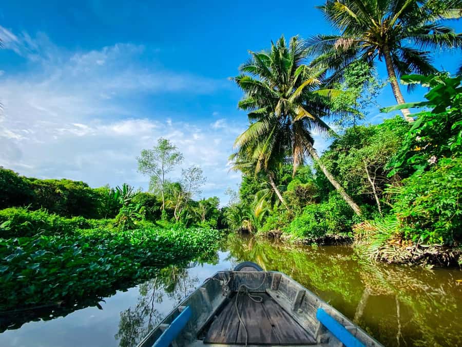 Can Tho: A Real Mekong Tour, Floating Market, Cacao & Life's - What you get for the $25 price: value that’s not just marketing