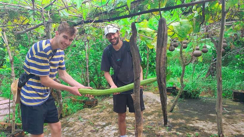 Can Tho: Authentic Mekong Delta – Real Local Life Tour. - Garden hut break with tropical fruits and green tea