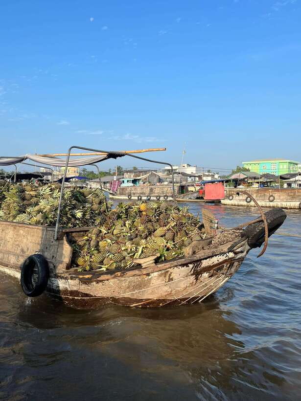 Can Tho: Cai Rang Floating Market and Canals - Entering Can Tho by boat at first light