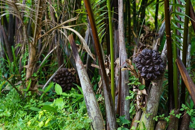 Can Tho Floating Market and Fruit Garden Tour - Guides and Service: What the Best Experiences Tend to Have