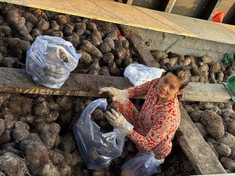 Can Tho: Floating Market, Cacao & Canals with French Guide - Cruising narrow canals and walking countryside villages