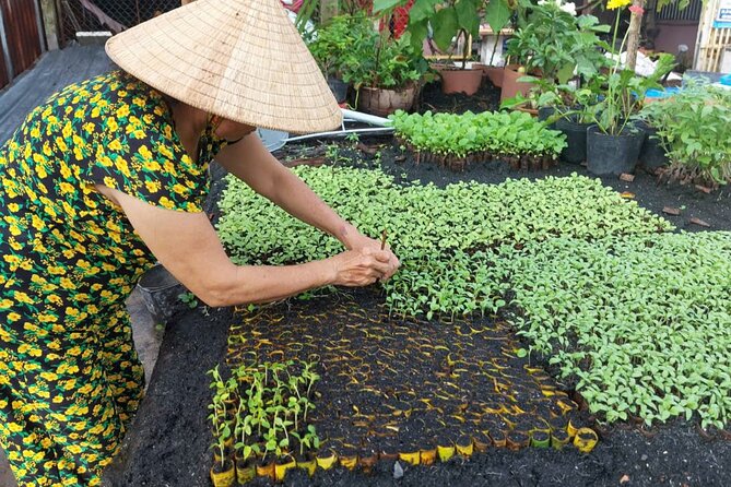 Can Tho: Floating Market, Canals, Nature Reserve & Forest - An Binh Market: the Mekong Delta side most people miss