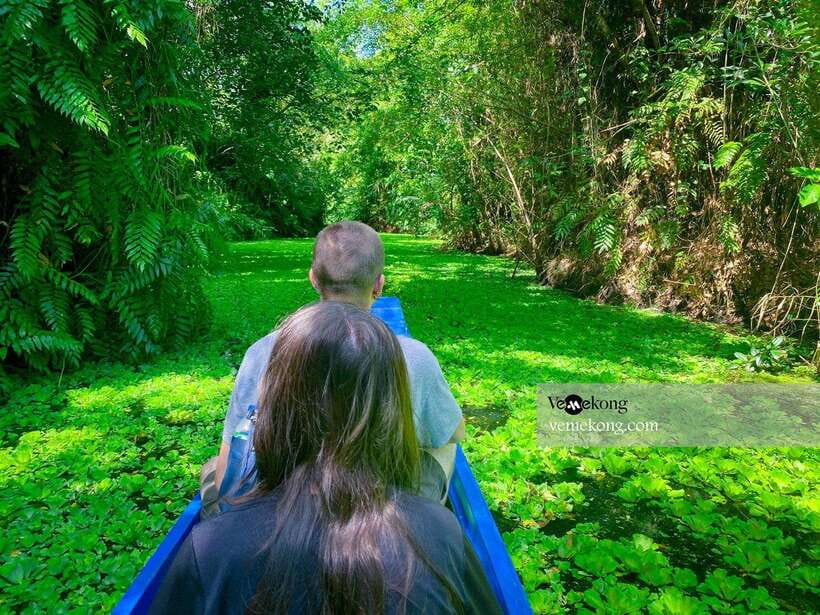 Can Tho: Lung Ngoc Hoang Forest Nature Reserve Half-Day Tour - Giant ficus microcarpa heritage tree, plus the human story