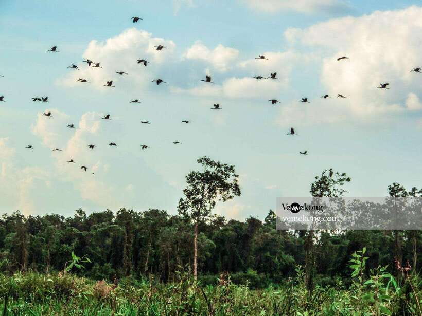 Can Tho: Lung Ngoc Hoang Forest Nature Reserve Half-Day Tour - Price and value: is $47 for 4.5 hours a fair deal?
