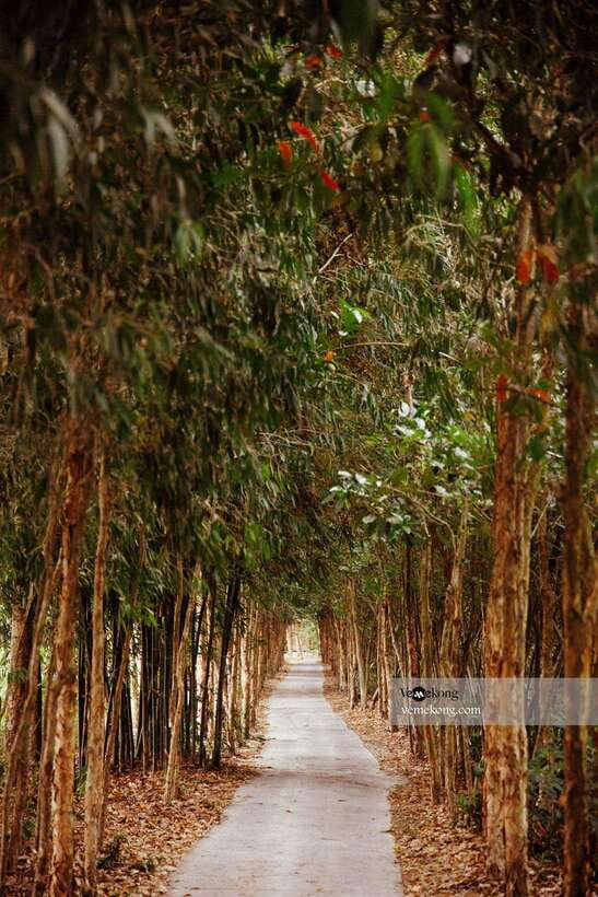 Can Tho: Lung Ngoc Hoang Nature Reserve & Forest Tour - Key things that make this tour worth your time
