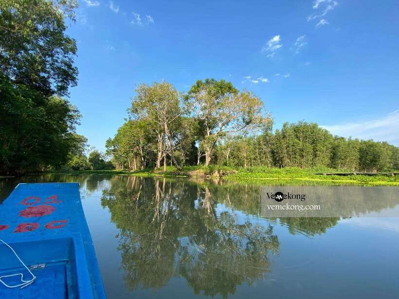 Can Tho: Lung Ngoc Hoang Nature Reserve & Forest Tour - The guide makes a difference, and you can look for these strengths