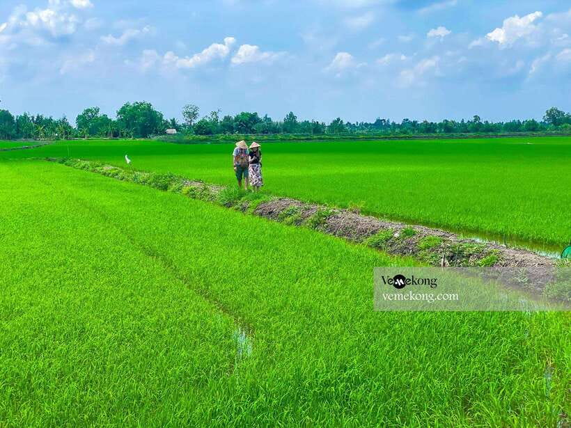 Can Tho: Lung Ngoc Hoang Nature Reserve & Forest Tour - The 1.2 km nature walk on pancake paths, with a smart exit option