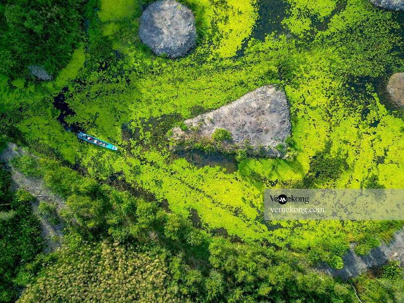 Can Tho: Lung Ngoc Hoang Nature Reserve & Forest Tour - What you actually get for $47, and how to judge value