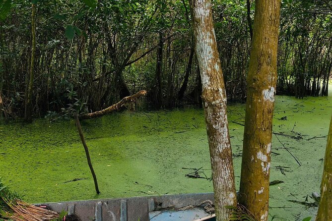 Can Tho: Lung Ngoc Hoang Nature Reserve & Hidden Forests - Light forest walk options, and why “optional” is smart