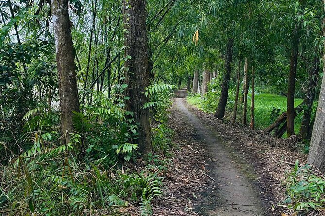 Can Tho: Lung Ngoc Hoang Nature Reserve & Hidden Forests - Price and value: what you get for $40
